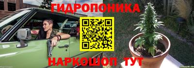 прущая мука Кимры