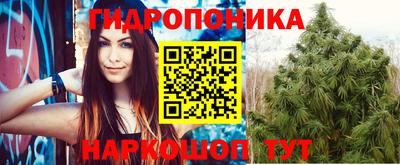 прущая мука Кимры
