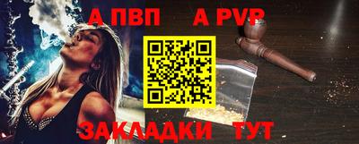 твердый Кингисепп