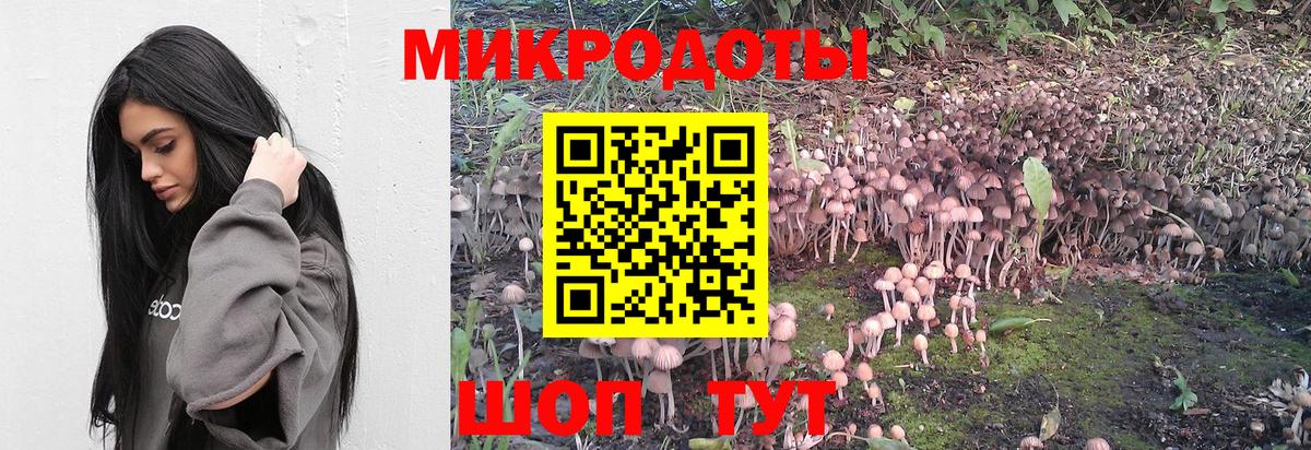 Галлюциногенные грибы Cubensis  Вход с VPN  наркотики  Усть-Джегута  Галлюциногенные грибы GOLDEN TEACHER 